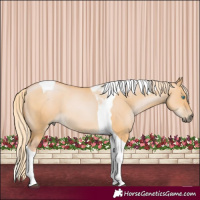 Horse Color:Gray Palomino Pearl Dun Tobiano 