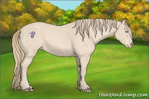 Horse Color:Perlino 