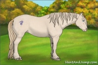 Horse Color:Perlino 