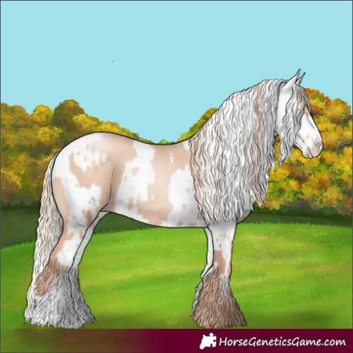 Horse Color:Gold Champagne Pearl Rabicano  and Gold Champagne Pearl Appaloosa Rabicano 