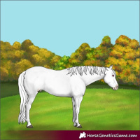 Horse Color:Bay Chinchilla Varnish 