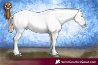 Horse Color:Brown Splash Near Leopard Rabicano 