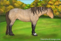 Horse Color:Buckskin Roan Snowflake Varnish Rabicano 