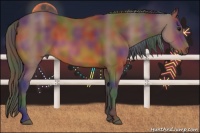 Horse Color:Nacre Bay 