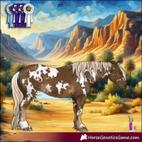 Horse Color:White Spotted Chocolate Palomino Mushroom 
