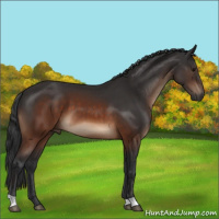 Horse Color:Brown 