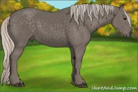 Horse Color:Silver Black 