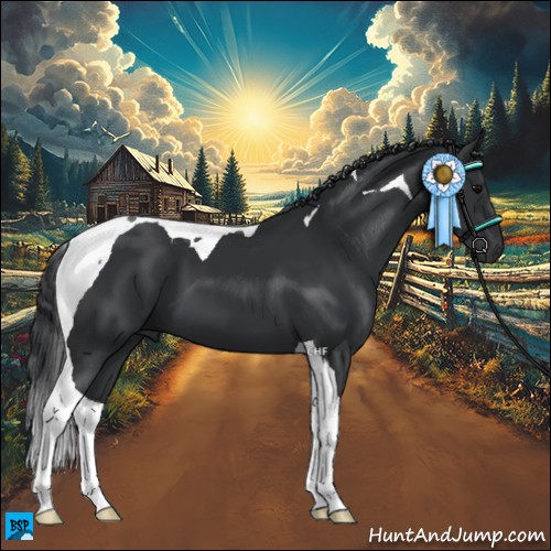 Horse Color:Black Tobiano 