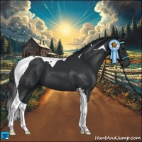 Horse Color:Black Tobiano 