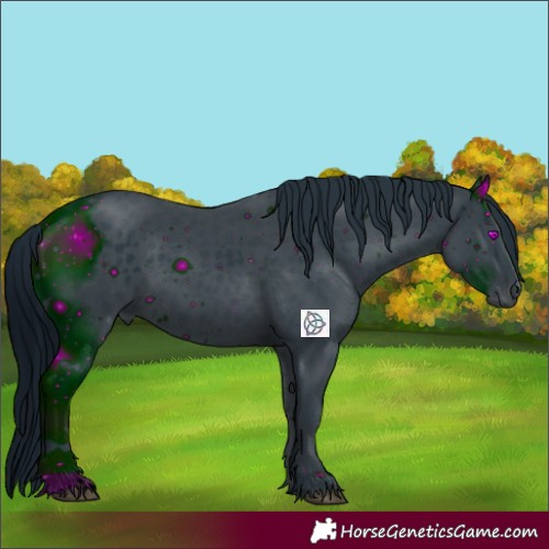 Horse Color:ERROR: UNKNOWN ANOMALY