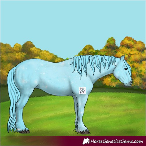 Horse Color:Watercolor Black 