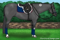 Horse Color:Black Tobiano 