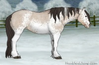 Horse Color:White Spotted Liver Red Dun Roan Rabicano 