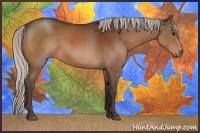 Horse Color:Silver Brown 