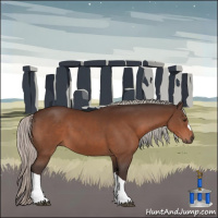 Horse Color:Silver Brown 