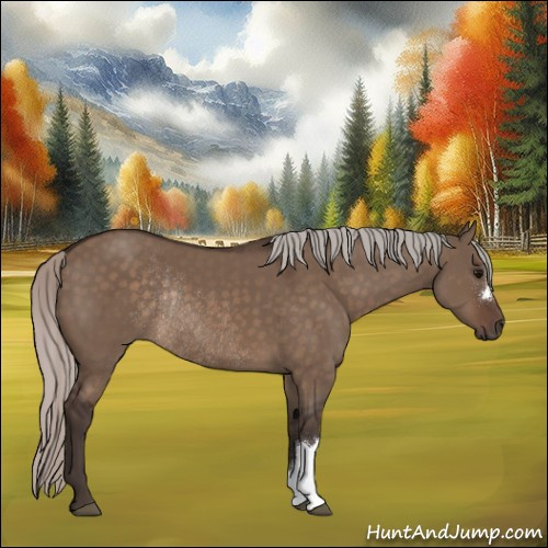 Horse Color:Silver Brown Dun Rabicano 