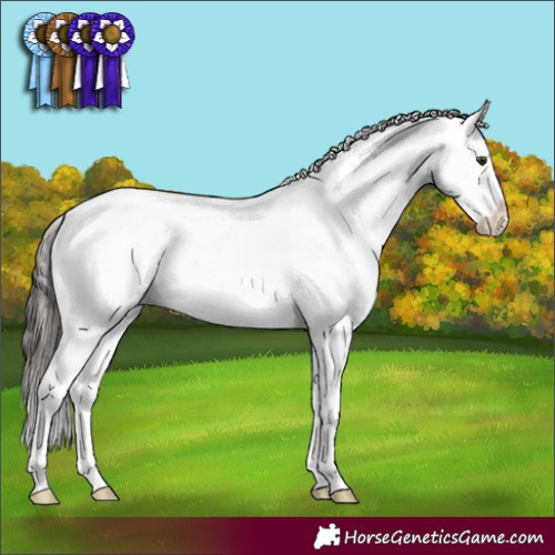 Horse Color:Liver Red Dun Splash Varnish Rabicano 