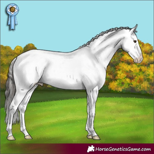 Horse Color:Liver Chestnut Varnish Rabicano