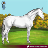 Horse Color:Liver Chestnut Varnish Rabicano 