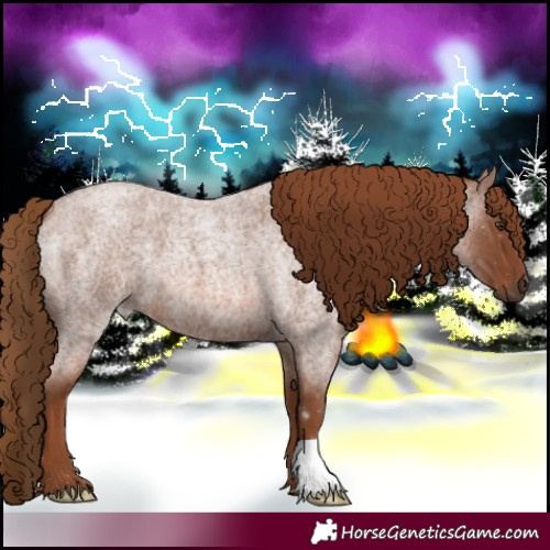 Horse Color:Red Roan 