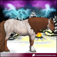 Horse Color:Red Roan