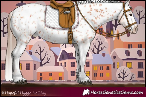 Horse Color:Bay Near Leopard