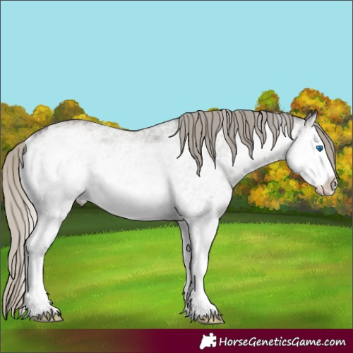 Horse Color:White Spotted Silver Smoky Grullo Splash Rabicano 