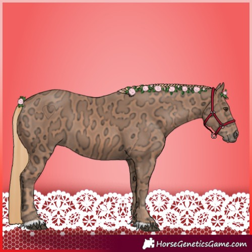 Horse Color:Chestnut Ice 