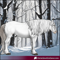 Horse Color:Black Appaloosa Rabicano 