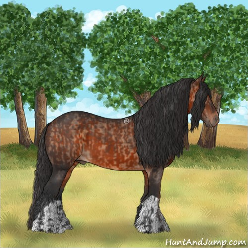 Horse Color:Bay Dun and Bay