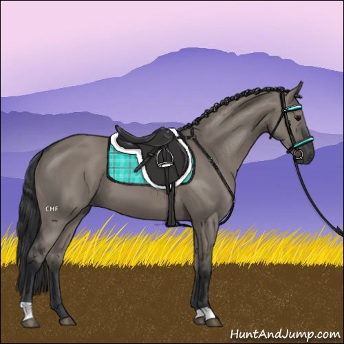 Horse Color:Grullo 