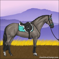 Horse Color:Grullo 