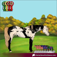 Horse Color:Void White Spotted Grullo Snowdrop Pearl Tobiano 