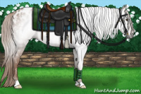 Horse Color:Gray Chestnut Appaloosa