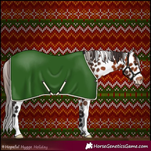 Horse Color:Bay Leopard