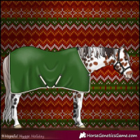 Horse Color:Bay Leopard 