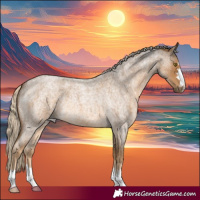 Horse Color:Chocolate Palomino Roan 