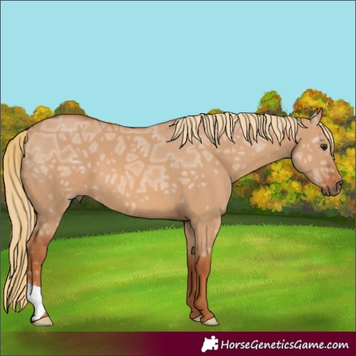Horse Color:Red Dun Ice 