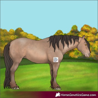 Horse Color:Amber Champagne 