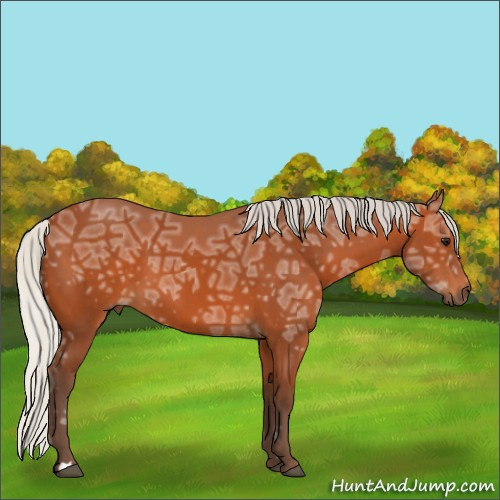 Horse Color:Silver Bay Ice 