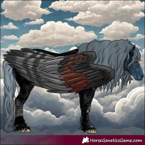 Horse Color:ERROR: UNKNOWN ANOMALY