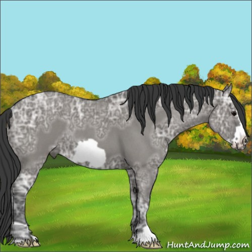 Horse Color:Grullo Ice Roan Frame 