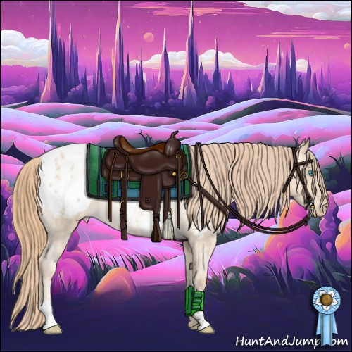 Horse Color:Buckskin Roan Pearl Blanket