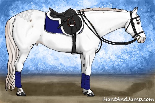Horse Color:Silver Brown Dun Near Fewspot Rabicano 