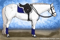 Horse Color:Silver Brown Dun Near Fewspot Rabicano