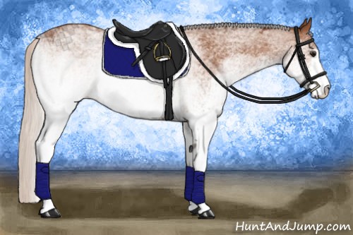 Horse Color:White Spotted Silver Bay Rabicano 
