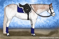 Horse Color:White Spotted Silver Bay Rabicano