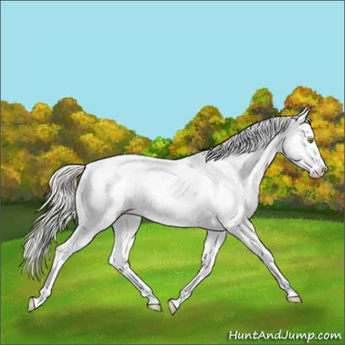 Horse Color:Silver Buckskin Varnish 