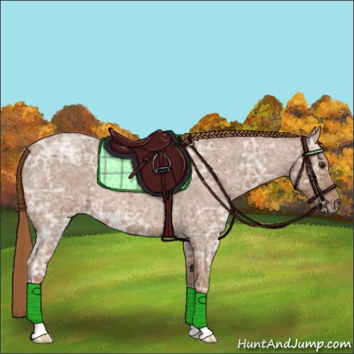 Horse Color:Red Ice Roan 