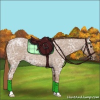 Horse Color:Red Ice Roan 
